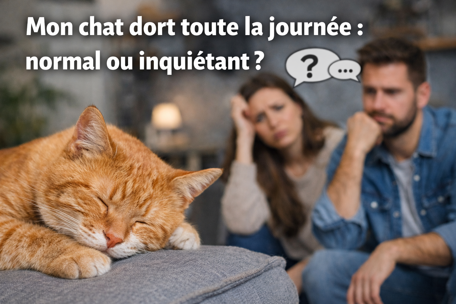 Mon chat dort toute la journée : est-ce normal ou inquiétant ?